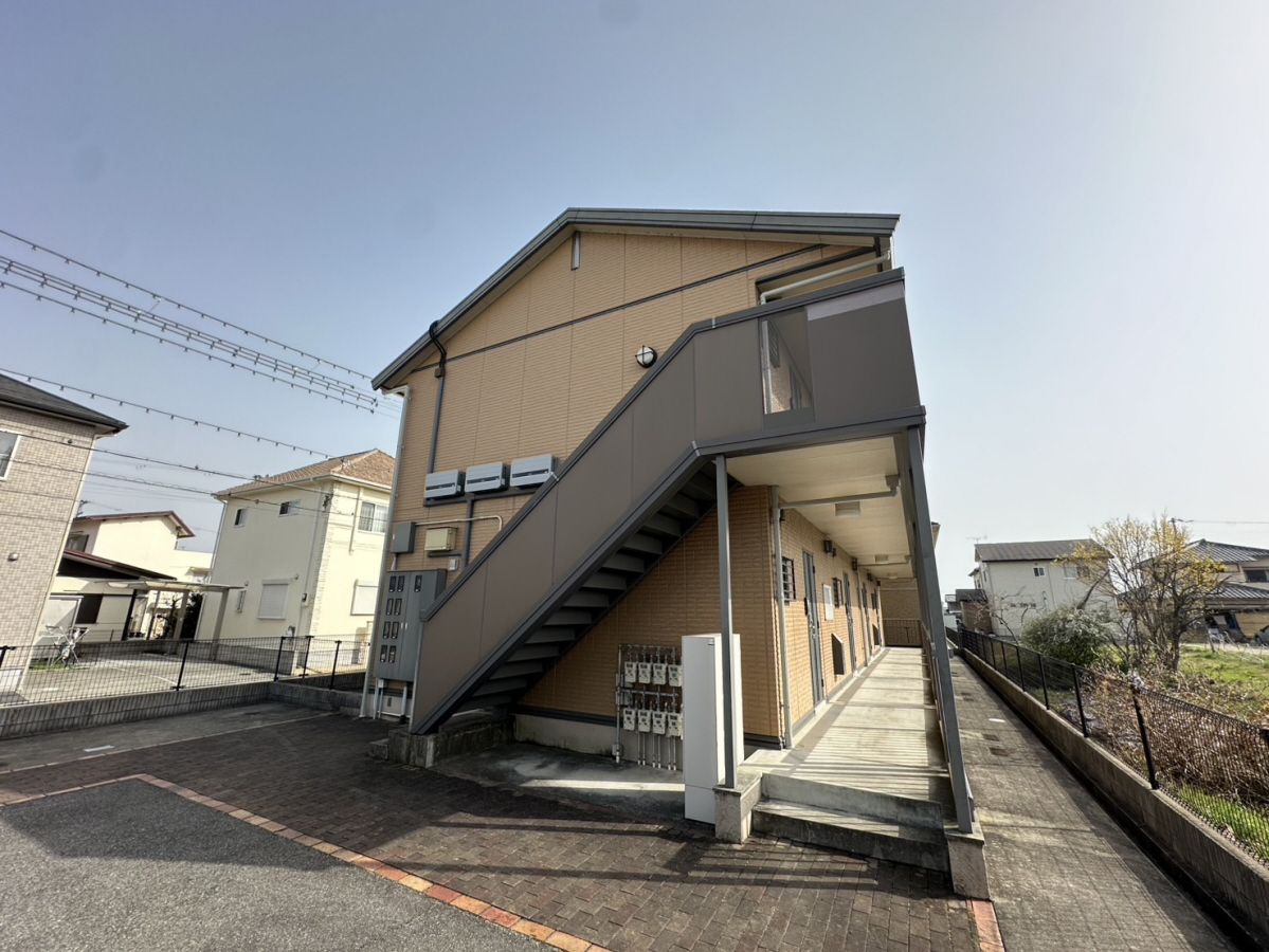 アバンセ　グリーン