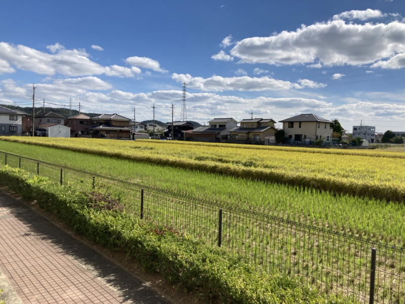眺望 写真20