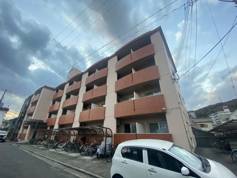 セントポーリア