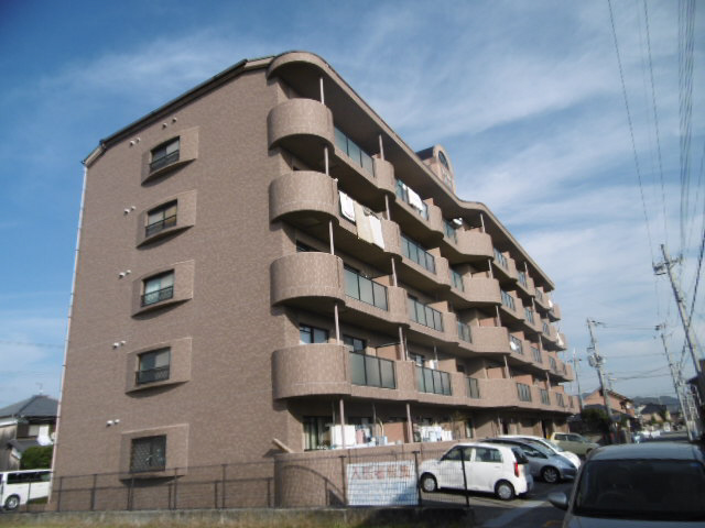 グローバル高田