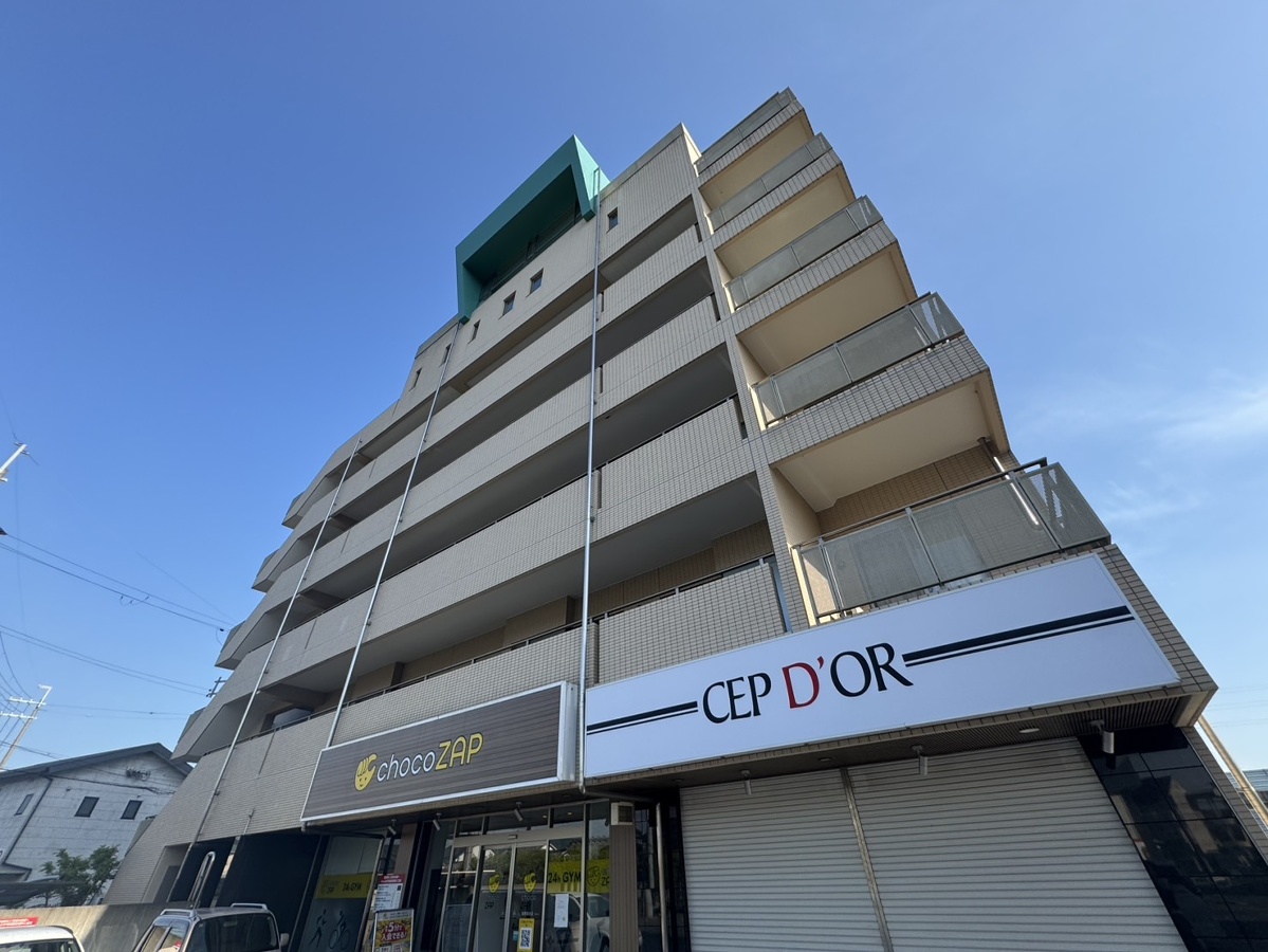 アゴラオーキッド冨永