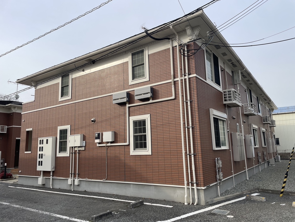 シンヴィオシスC