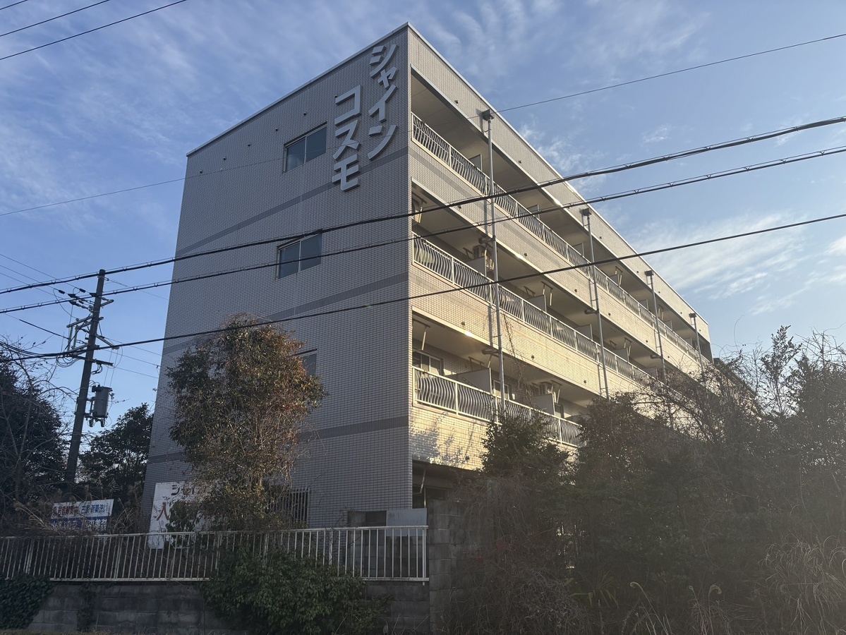 シャインコスモ