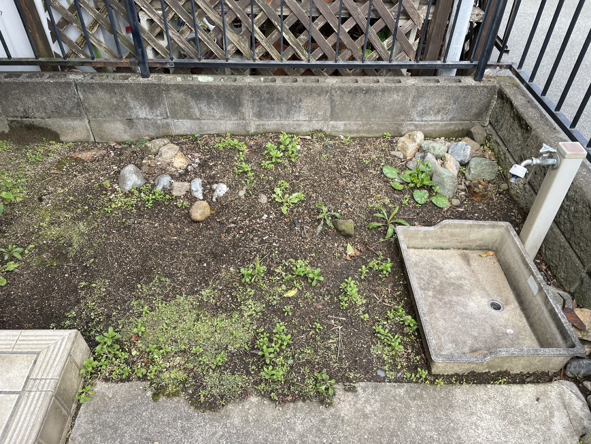 エントランス 写真31