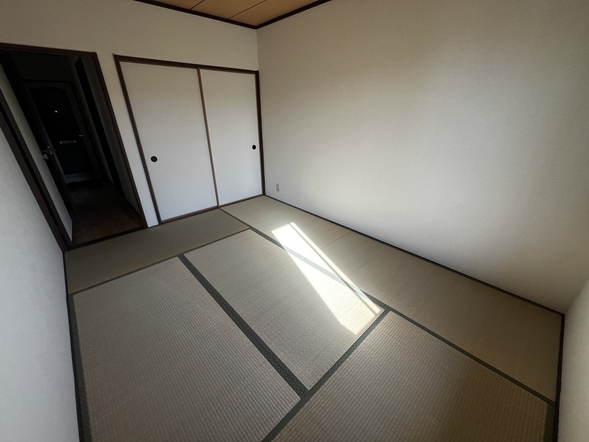 写真28