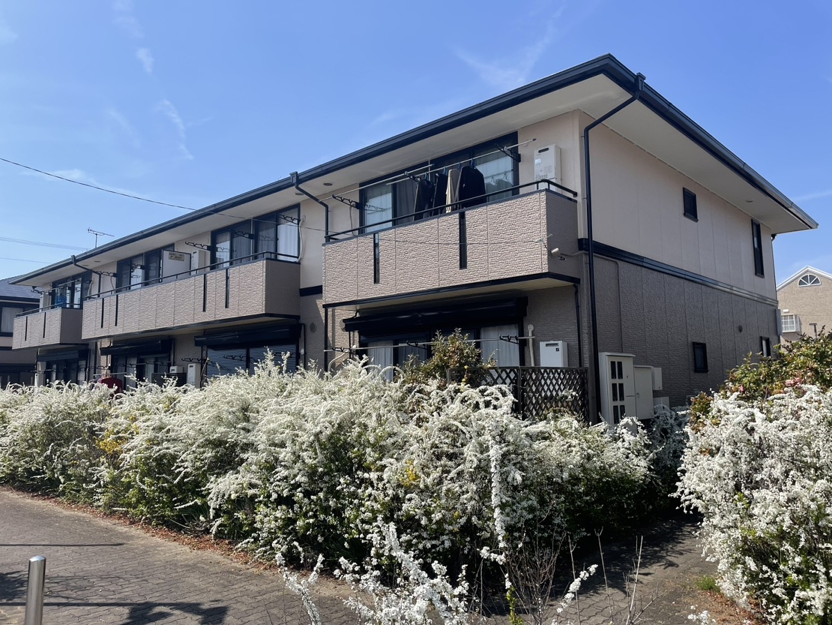 メゾンゼルカバB棟