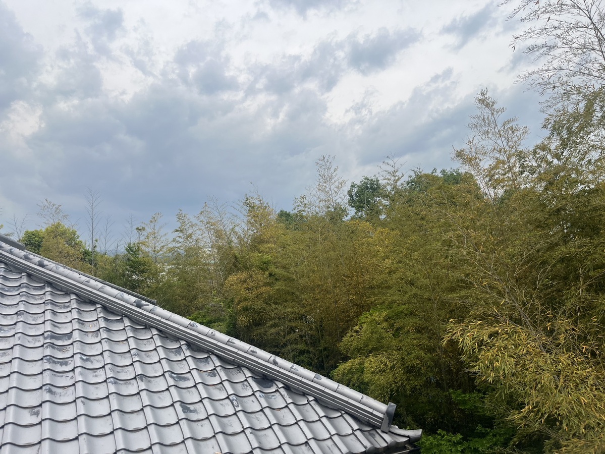 眺望 写真19