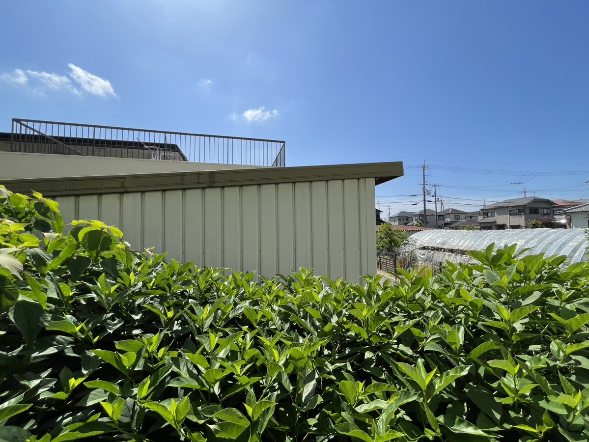 眺望 写真19