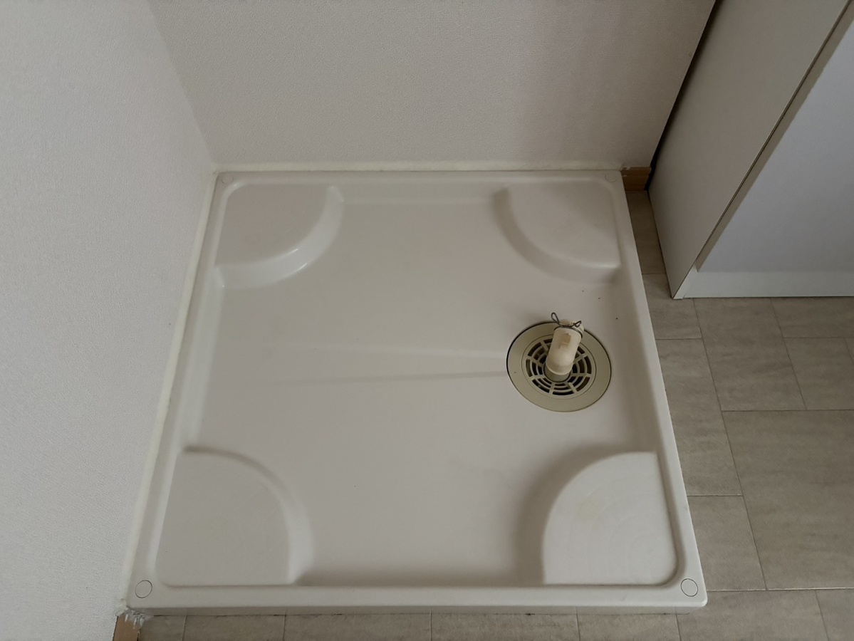 写真28