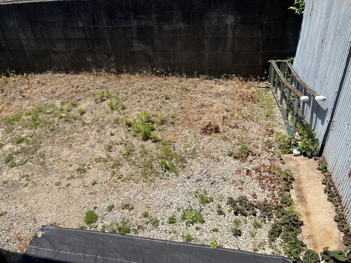 庭 写真15