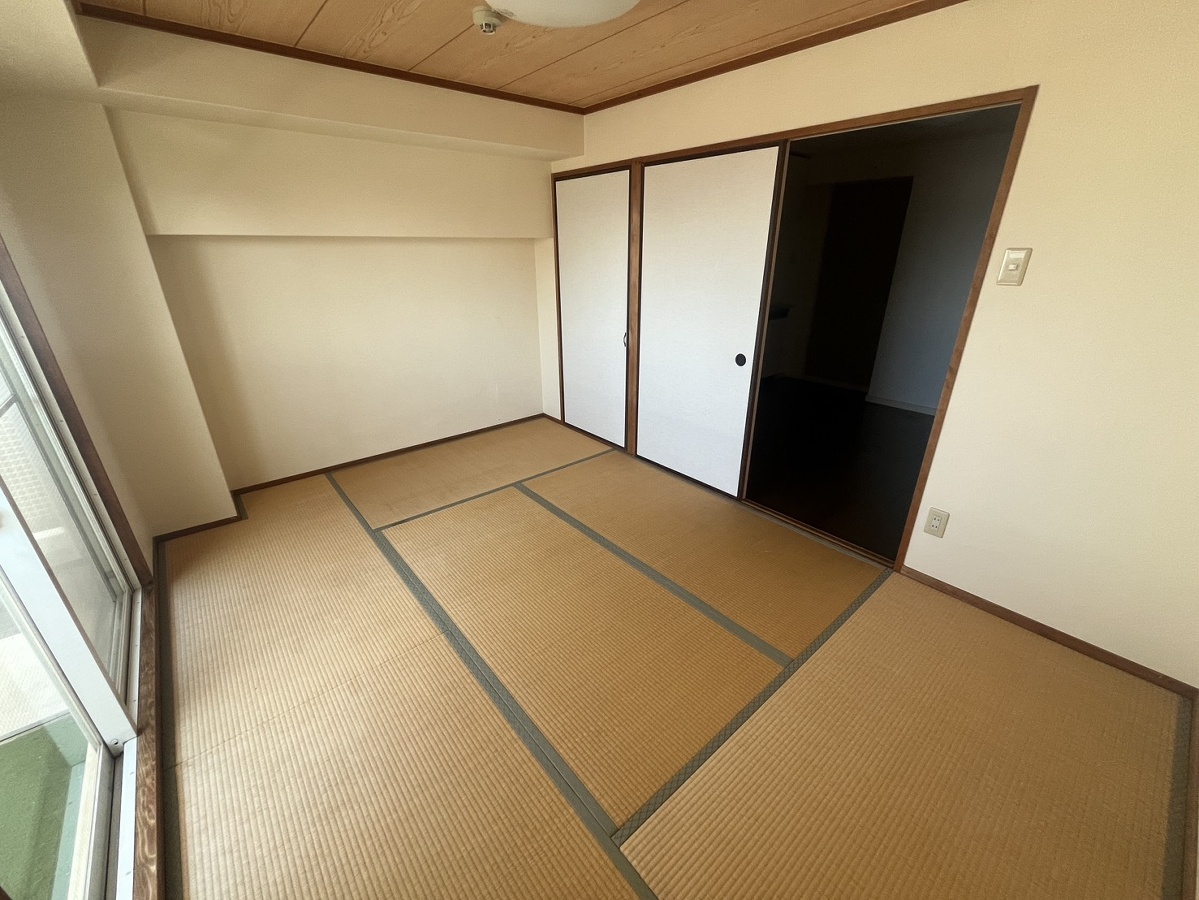 写真19