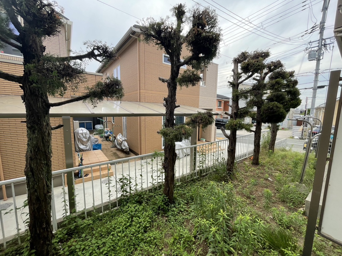 眺望 写真19