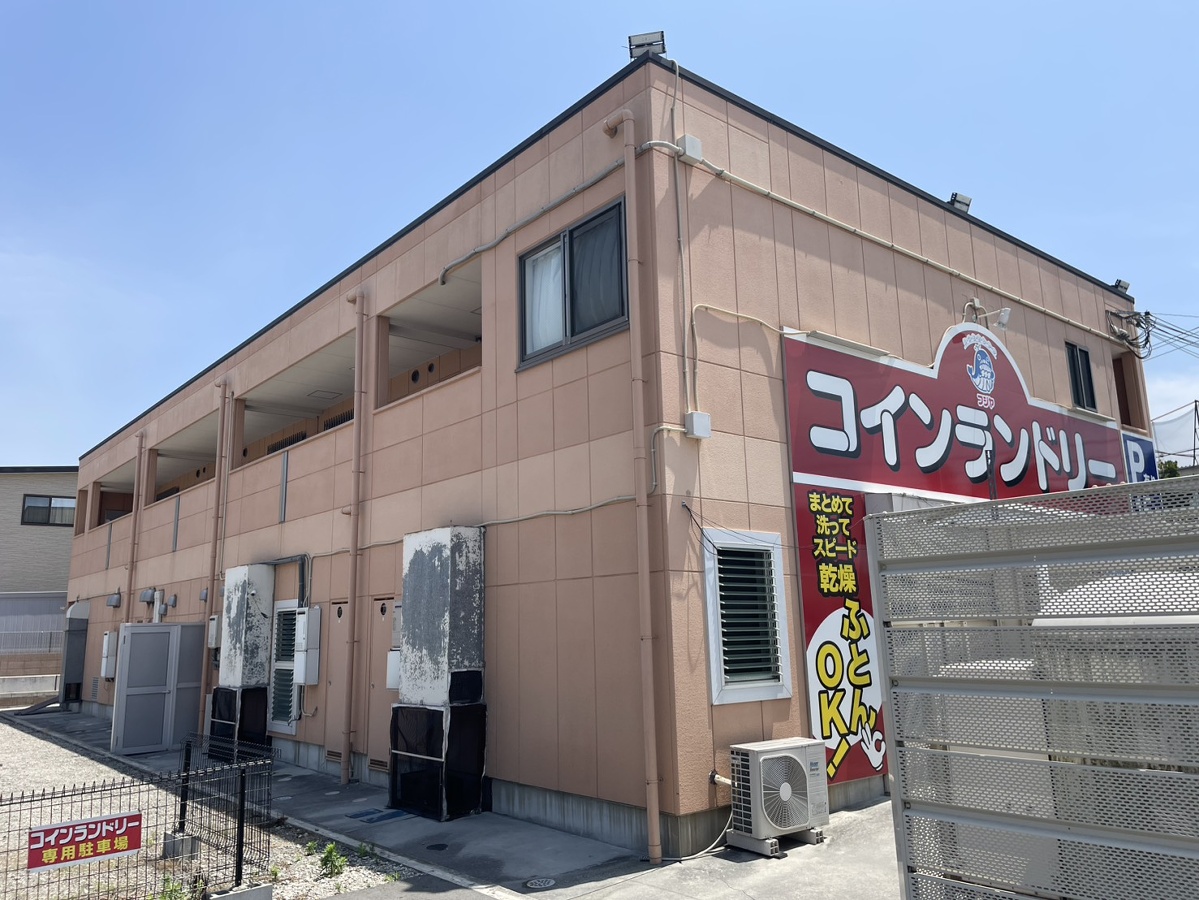 スカイ アイビー