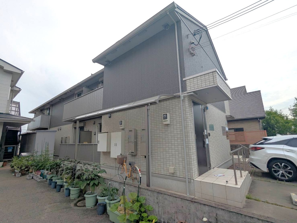 tentree新在家