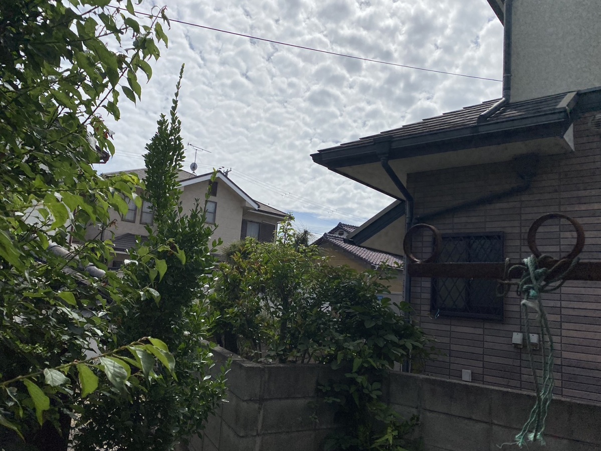 眺望 写真18